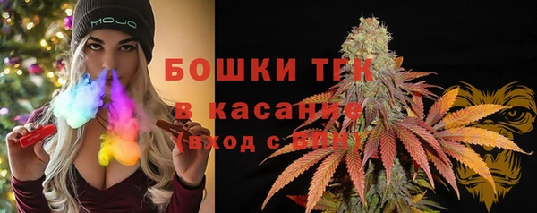 гидропоника Алзамай