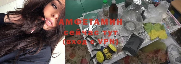 прущие грибы Алексин
