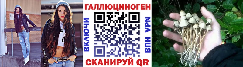 Псилоцибиновые грибы прущие грибы Алушта
